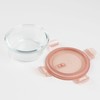 Pearl Metal HB-5955 Dish Plus Storage Container with Heat Resistant