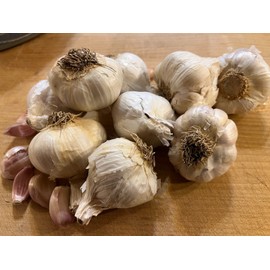 ESKS Organic Non GMO Garlic Bulbs for Planting Or Eating 7 Pack (apprx 50-70 Cloves)