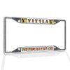 Fastasticdeals Metal Insert License Plate Frame Vizsla Everything Else is