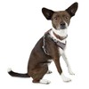 Reddy Grey Cotton Canvas Dog Harness, X-Small