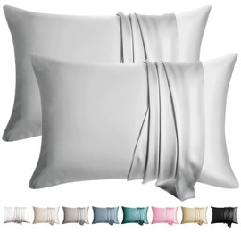 WLOSJ 100% Silk Pillow Cases 2 Pack Queen Size Mulberry Silk Pillowcase for Hair and Skin Set of 2 Highest Grade 6A Silk Soft Breathable Cooling with Hidden Zipper, Light Grey