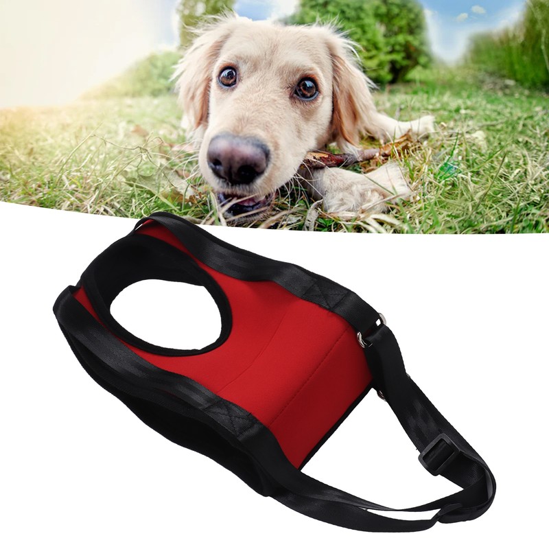 Dog Front Leg Harness Adjustable Waterproof Comfortable Elastic Dog Support