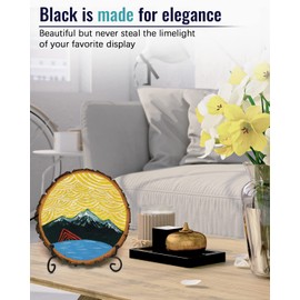 Iron Display Stand 10 Packs, 8 Inches Plate Stand Picture Stand Photo Stand for Display, Black Foldable Easel Stand Holder for Photo Frame, Artwork, Collection, Decorative Plate, Book, Office