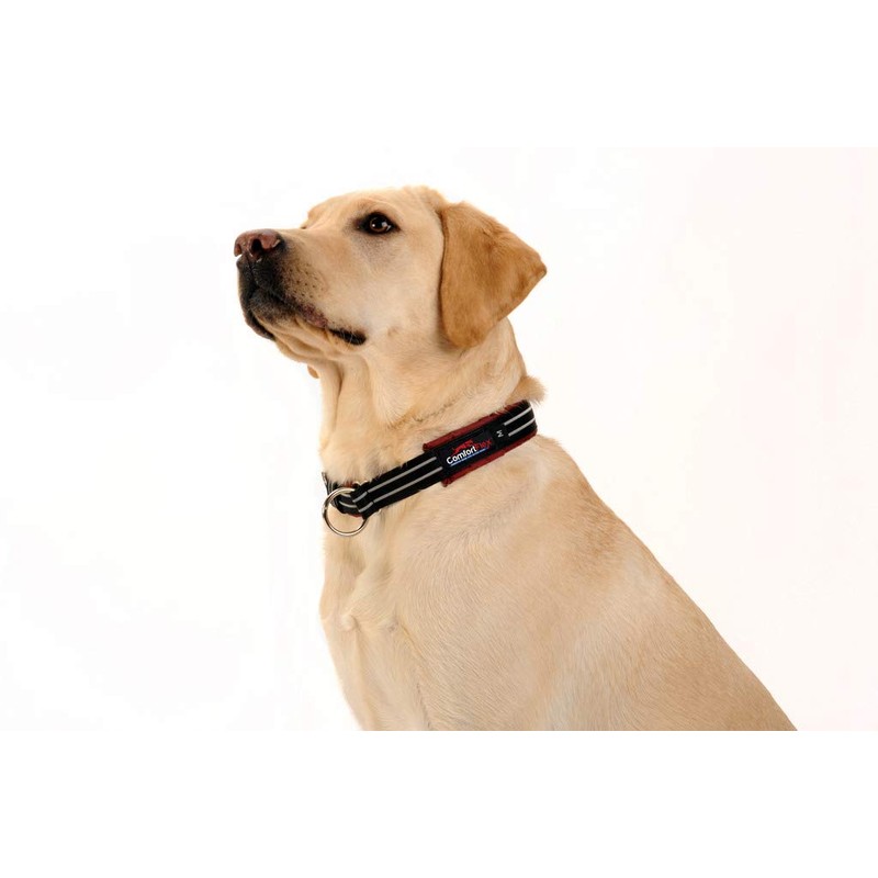 ComfortFlex Premium Padded Martingale Dog Collar – Reflective Waterproof Slip-On