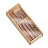 Zassenhaus Steak Cutlery Set of 2 with Pakka Wood Handles,