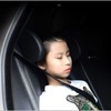 High quality vehicle headrest scepter neck cushion headrest / 차량용 헤드레스트 셉터 목쿠션 머리받침대 고품질메