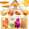Eowppue 9 Pcs Orange Peeler Tools Multifunctional Creative Make Juicy