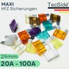 Tecside 60 A Car Maxi Fuse, 1 Piece, 29 mm
