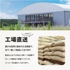 Drip Coffee Factory Colombian Decaf Coffee Beans Whole 1kg (500g