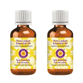 Deve Herbes Pure Ledum Essential Oil (Ledum groenlandicum) Steam Distilled (Pack of Two) 100ml X 2 (6.76 oz)