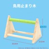 Parakeet, Bird Supplies, Stand, Nail Sharpener, Perch, Tabletop, Stand, Toy,