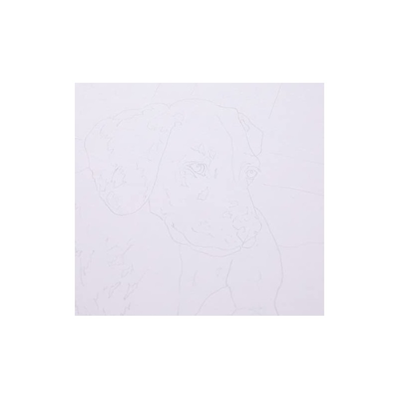 Royal Brush Sketching Made Easy Kit 9"X12"-Dalmation Pup