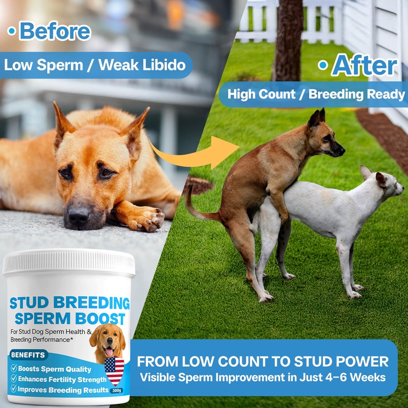 Stud Dog Breeding Supplement – Promotes Sperm Quality, Count &