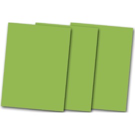 DCS Discount 8.5" x 11" Card Stock: Smooth Granny Smith Green - 20 Sheets - Great for Scrapbooking, Crafts, DIY Projects, Etc.