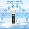WINGSOL WINGSOL Under Sink Water Filter Replacement, reduce 99.99% Chlorine,