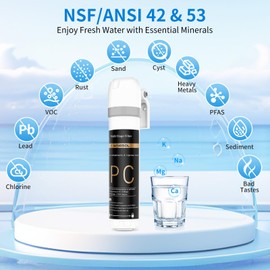 WINGSOL WINGSOL Under Sink Water Filter Replacement, reduce 99.99% Chlorine, Heavy Metals, Odor, Smell, Rust, Sediment, 8K Life & High-flow, Compatible with WS-QC-001/ WS-QC-001(F) Series, 2-Pack