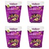 Wild Roots 100% Natural Trail Mix Coastal Berry Blend Special