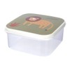 Food Container, Lunch Box, Plastic Container for Children, Pack of