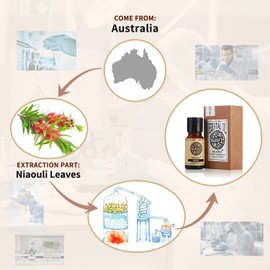 AKARZ Niaouli Essential Oil Natural Organic Pure Premium Therapeutic Niaouli Oil for Skin Body Hair Care,Diffuser, Candle,Soap,Making, DIY,Massage Aroma 0.34 Fl Oz (10ml)