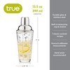 True Glass Cocktail Shaker with 7 Classic Recipes and Measurements