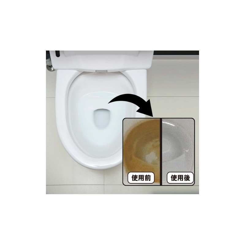Professional Toilet Cleaner 10.1 fl oz (300 ml)
