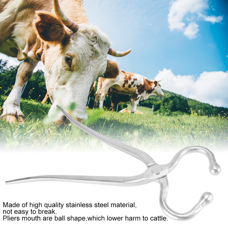 Stainless Steel Cattle Nose Pliers Clip Squeezer Traction Tool Domestic