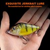 TABKSOLA Wobbler, This swimming bait combines the functions of crankbait