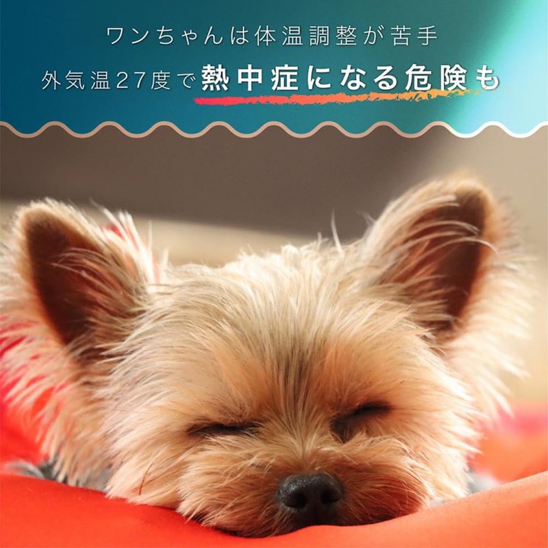 Cool Ring, Cool, Dog, Cool, Neck Cooler, Lightweight, Cooling Belt,