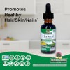 Nature's Answer | Horsetail Extract, 2 000 Mg, 1 Oz