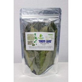 Pack of 40 Jamaican Pimento Leaves