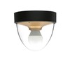 Licht-Erlebnisse Ceiling Light Plastic in Black Gold IP44 Bathroom Living