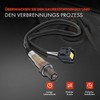 Frankberg Lambda Sensor Compatible with W169 2004-2012 W245 2005-2011 W203