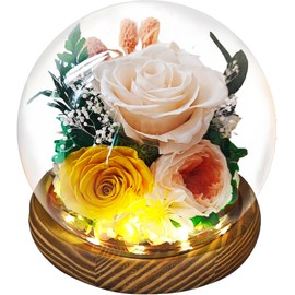 ERYRYIREI Preserved Real Rose Gifts for Her- Forever Champagne Rose in Glass Dome with LED for Women Mom Girlfriend Grandma Wife Birthday Mother's Day Christmas Valentines Day Gifts