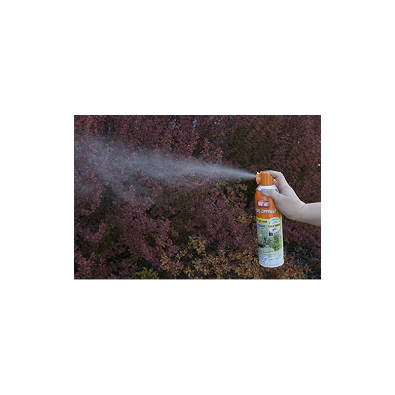 Ortho Home Defense Backyard Mosquito and Bug Killer Area Fogger
