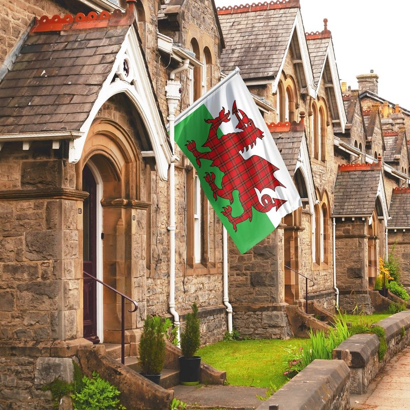 Welsh Flag Dragon Tartan - Wales Flag - Wales Dragon