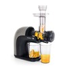 G21 Juicer Chamberi horizontal, juicers, small appliances, household appliances