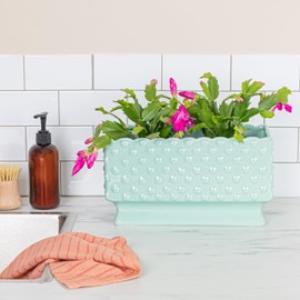 Creative Co-op Ceramic Hobnail Planter with Scalloped Edge and Polka Dots, Aqua