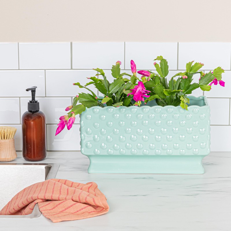 Creative Co-op Ceramic Hobnail Planter with Scalloped Edge and Polka