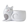 SKL Home by Saturday Knight Ltd. Pet Play Cat Toothbrush