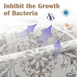 JINCHAN Antibacterial Area Rug 2x3 Washable Rug Outdoor Rug Door Mat Small Rug Beige Carpet for Kids Nursey Front Door Outdoor Indoor Bathroom Kitchen Decor