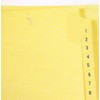 3 Ring Pre-Printed Index Sheets, Numbered 1-25 on Mylar Reinforced