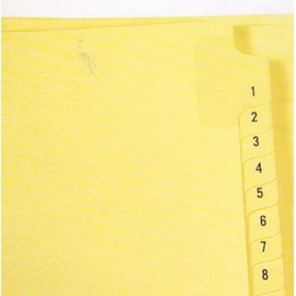 3 Ring Pre-Printed Index Sheets, Numbered 1-25 on Mylar Reinforced Tabs, 11" x 8-1/2", Full Set