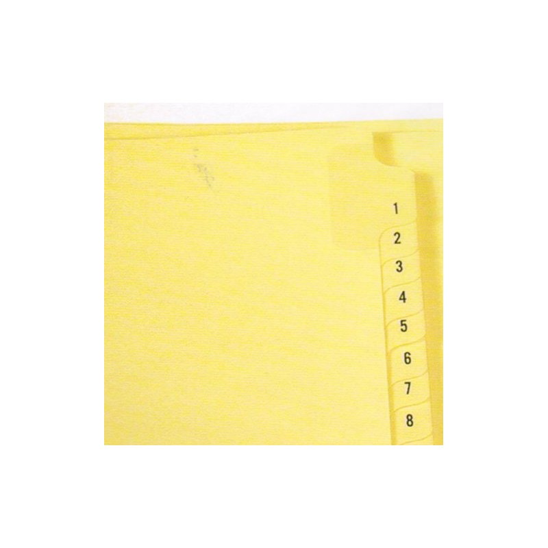 3 Ring Pre-Printed Index Sheets, Numbered 1-25 on Mylar Reinforced