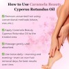 Qx Universal Cyperus Rotundus Hair Removal Essential Oil *