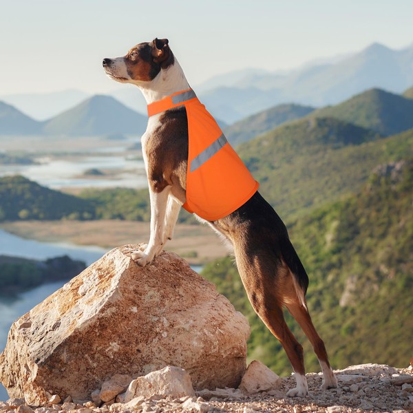 Orange Dog Vest High Visibility Safety, Dog Hunting Vest, Dog
