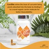 Mara Labs CurcElite Curcumin | Turmeric Extract 95% Curcuminoids |