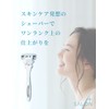 Chic Schick Hydro Silk Salon Plus Holder with Blade for