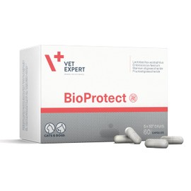 Vet Expert Advanced Probiotics Supplement for Dogs and Cats, 60 Capsules, Promotes Optimal Gastrointestinal Health with Live Cultures, Prebiotics, and Fibre