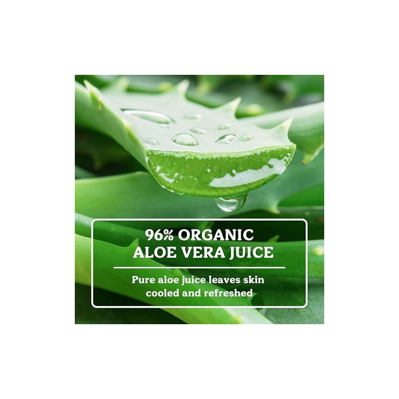 Aloe Vera Gel 4oz