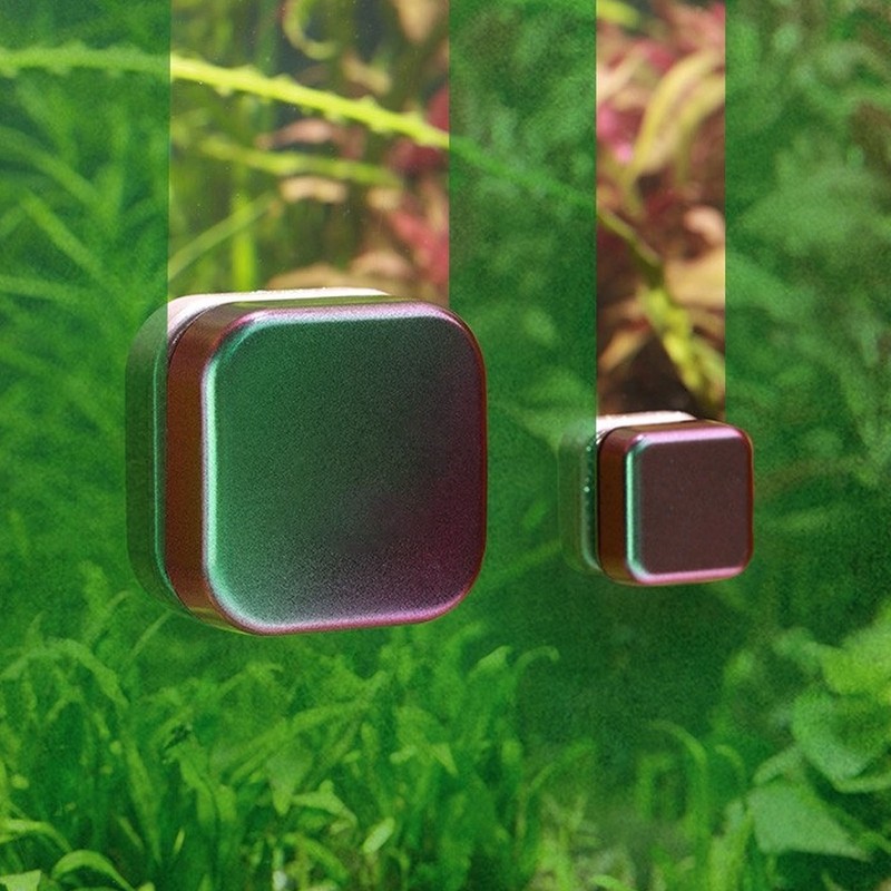 Mini Aquarium Magnetic Brush Gradient Color Double Sided Prevent Slip